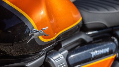 TVS Ronin 250, la cura si vede anche in dettagli come i loghi in 3D