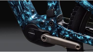 Specialized S-Works Turbo Levo 4 LTD: le pedivelle Cane Creek Electric Wings
