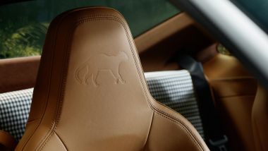 Porsche 911 GT3 Ocelot: un nome, un badge