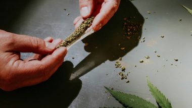 Guida e stupefacenti: la droga trattata come l'alcool - Foto di Elsa Olofsson su Unsplash