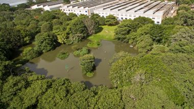 Il TVS Eco Park di Hosur: il lago artificiale alimentato dall'acqua piovana raccolta dai tetti della fabbrica