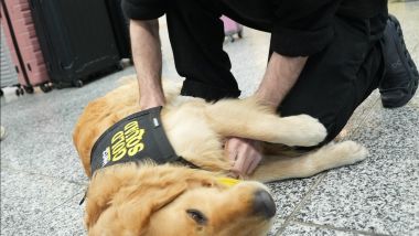 Un po' di coccole e il noleggio &egrave; dolce