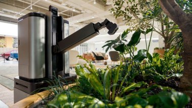 DAL-e Gardener, il giardiniere robot in azione