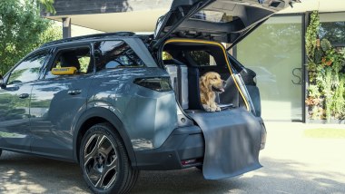 Peugeot E-5008 Dog Edition Concept, le soluzioni per gli animali a quattro zampe