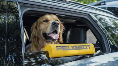 Peugeot E-5008 Dog Edition Concept, il poggiatesta