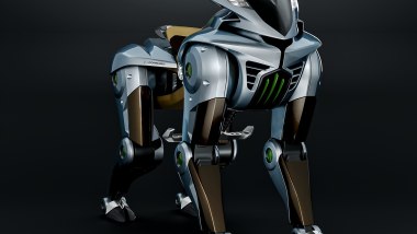 Kawasaki Corleo
