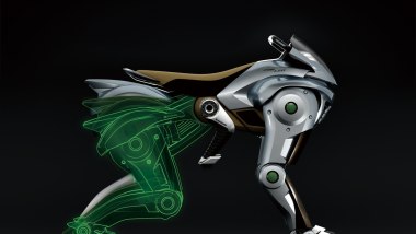 Kawasaki Corleo