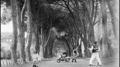 Gallery - immagine 3#