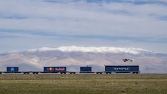 Gallery - immagine 7#