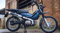 Gallery - immagine 2#