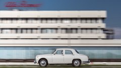 Gallery - immagine 8#