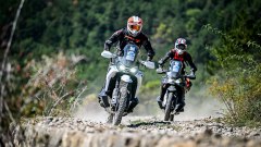 Gallery - immagine 10#