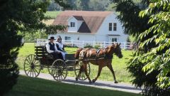 E-bike meglio del cavallo: gli Amish scoprono la bici elettrica