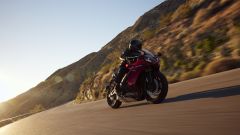 Gallery - immagine 3#