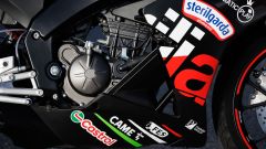 Gallery - immagine 8#