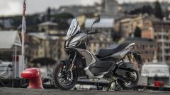 Gallery - immagine 7#