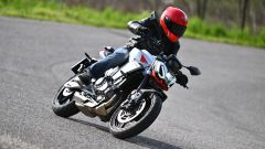 Gallery - immagine 2#