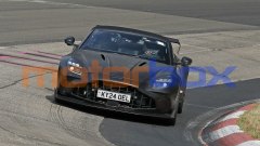 Gallery - immagine 8#