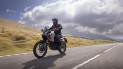 Gallery - immagine 6#