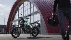 Gallery - immagine 2#