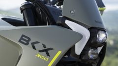 Gallery - immagine #13