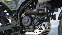 Gallery - immagine 8#