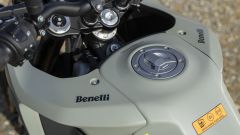 Gallery - immagine #15