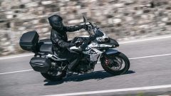 Gallery - immagine 2#