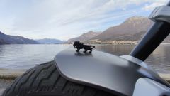 Gallery - immagine 6#