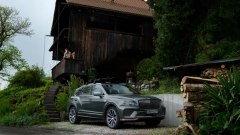 Gallery - immagine 2#