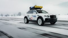 Gallery - immagine #15