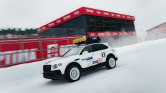 Gallery - immagine 5#