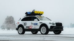 Gallery - immagine 7#