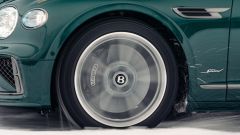 Gallery - immagine 4#