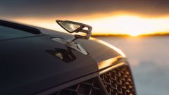 Gallery - immagine 5#