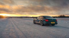 Gallery - immagine 7#