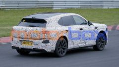 Gallery - immagine #14