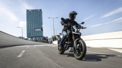 Gallery - immagine #26