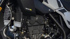 Gallery - immagine #37