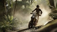 Gallery - immagine 4#