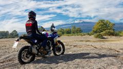 Gallery - immagine #12