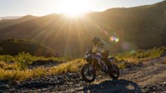 Gallery - immagine #20