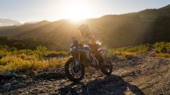 Gallery - immagine #26