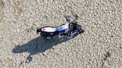 Gallery - immagine #29