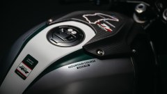 Gallery - immagine 8#
