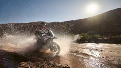 Gallery - immagine 3#