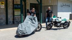 Gallery - immagine 11#