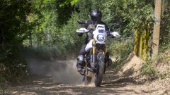 Gallery - immagine 3#