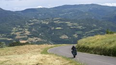 Gallery - immagine 5#