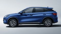 Gallery - immagine 9#